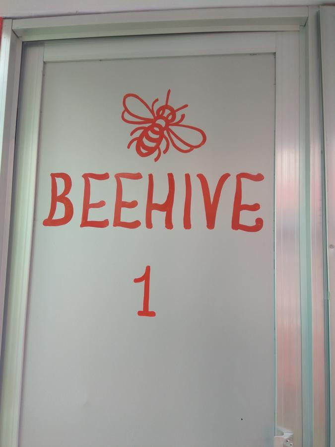 Beehive Hostel 加德满都 外观 照片
